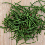 Samphire Plant (salicornia Europaea) | 6 x Plug Plants | Green