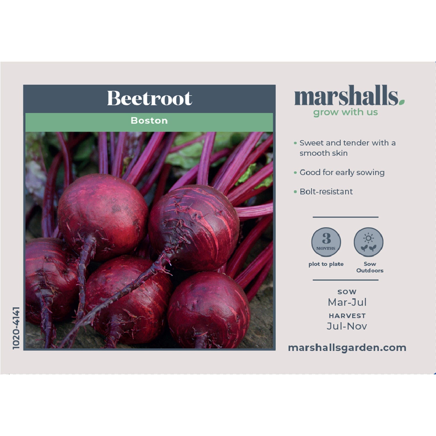 Beetroot 'boston' | 200 Seeds