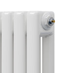 3310 Btu Horizontal Double Column Radiator