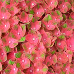Hydrangea Rembrant Rosso Glory - 14cm pots | Set-of-1 | White