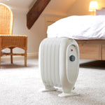 Mini Oil Free Radiator, 700w Portable Heater