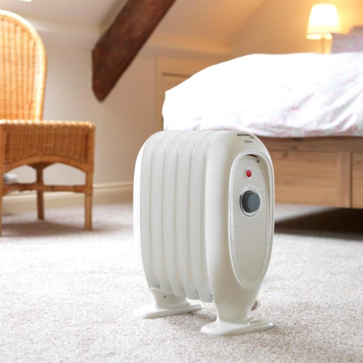 Mini Oil Free Radiator, 700w Portable Heater