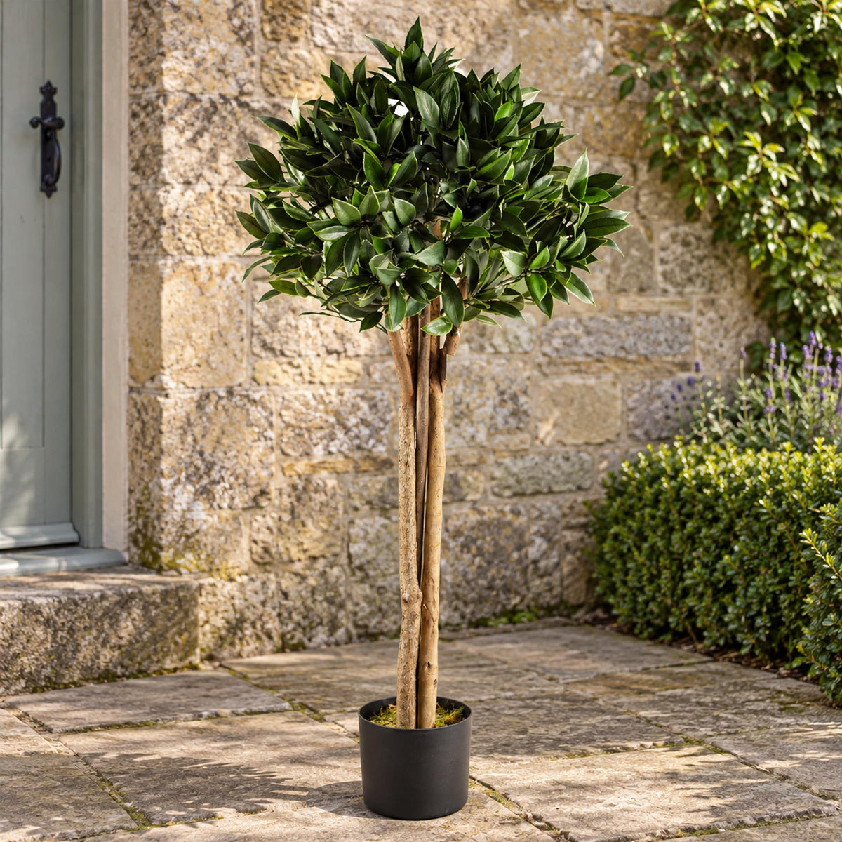 Bay Tree Uv Resistant Outdoor Topiary 120cm Botanik