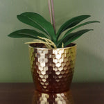 50cm Phalaenopsis Orchid Artificial Purple And White Gold Pot