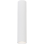 Genesis Spot 1xgu10 | 30cm | White