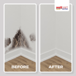 Insopaint Ultra - 9 In 1 Interior & Exterior Paint | 5l | Pistachio White
