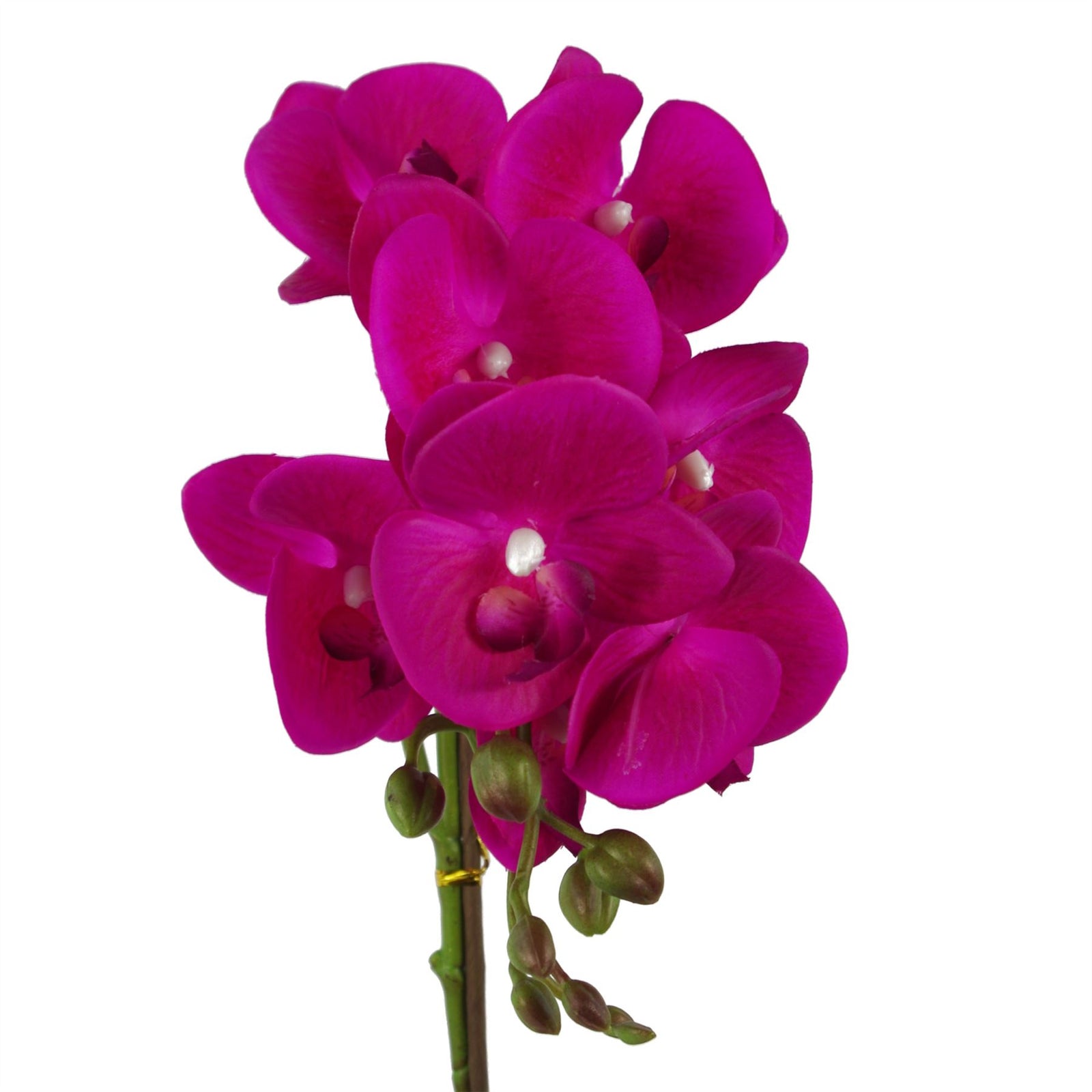 50cm Phalaenopsis Orchid Artificial Silver Dark Pink