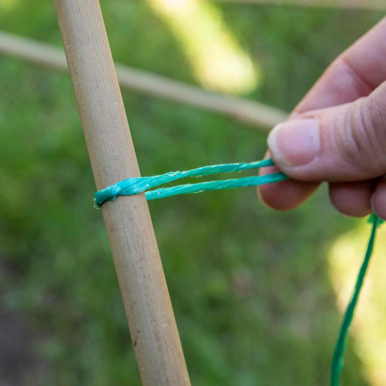3-ply Green Biodegradable Twine | Green