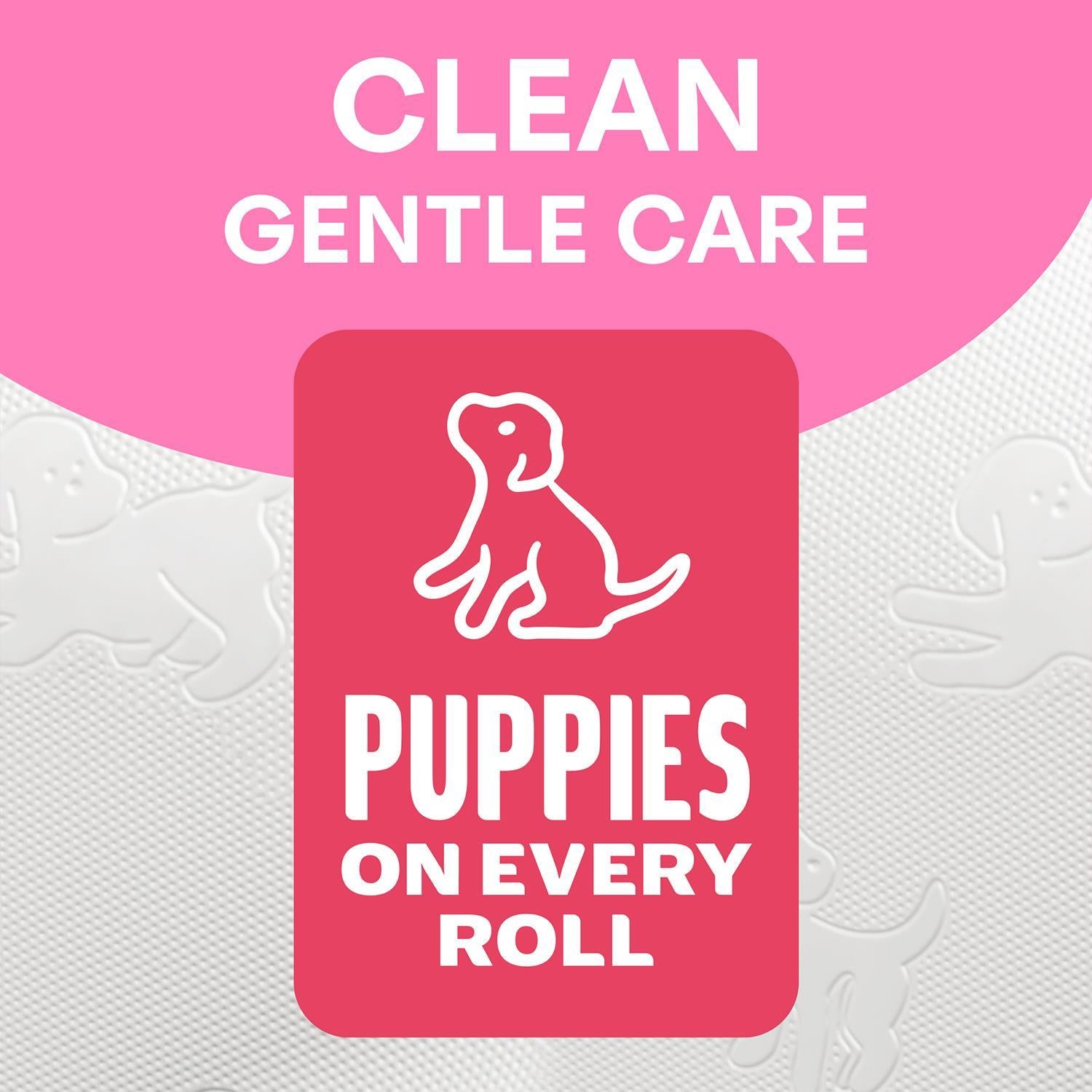 Andrex Gentle 2-ply Toilet Paper 24 Rolls + Ultra Care Washlets 12 Pack