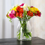Freesia Double Mix Bulbs | 80 x Bulbs