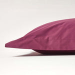 Egyptian Cotton Oxford Pillowcase 200 Tc | 48 x 74cm | Plum