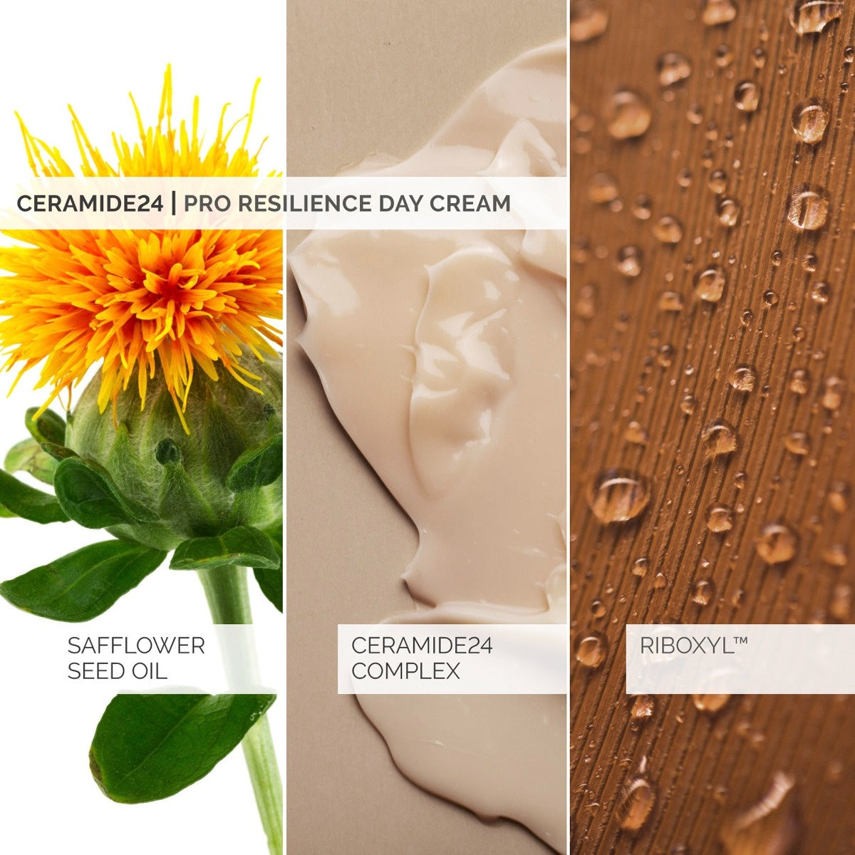 Ceramide24 Day Cream 50ml