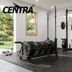 Centra Weight Plate Rack With 4 Plate Slots Wheels Horizontal Barbell Storage