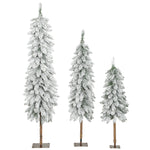 Set Of 3 Flocked Christmas Tree, Pencil Downswept Xmas Tree