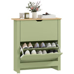 12-shoe Storage Cabinet 4 Shelves 2 Drawers Tabletop | Green