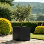 Zinc Galvanised Square Planter | 40cm x 40cm x 40cm | Matte Black