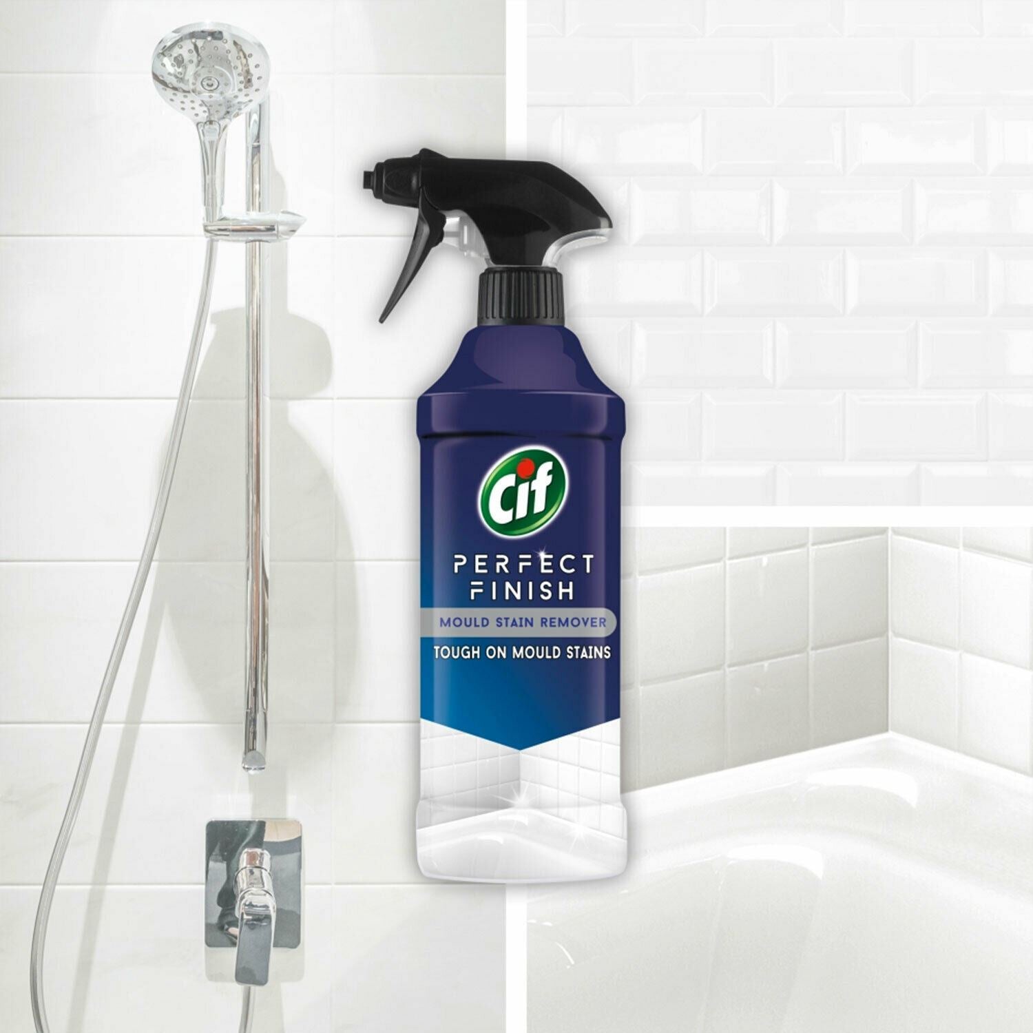 Perfect Finish Specialist Cleaner Spray Mould Stain Remover 435ml, 6pk