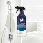 Perfect Finish Mould Stain Removal Spray 435ml, 2pk