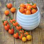 Sungold (honeycomb) Cherry Tomato Seeds | Set of 15