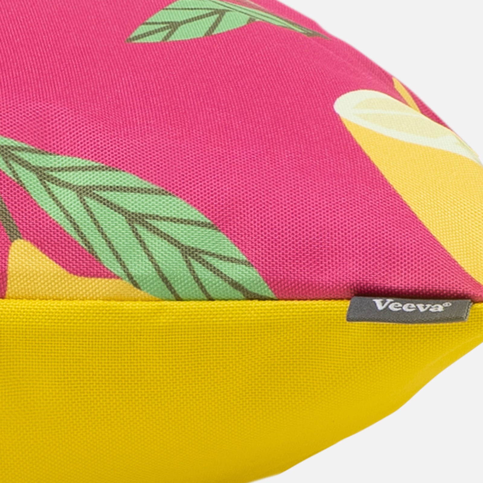 Fruit Print Set Of 2 Outdoor Cushion
