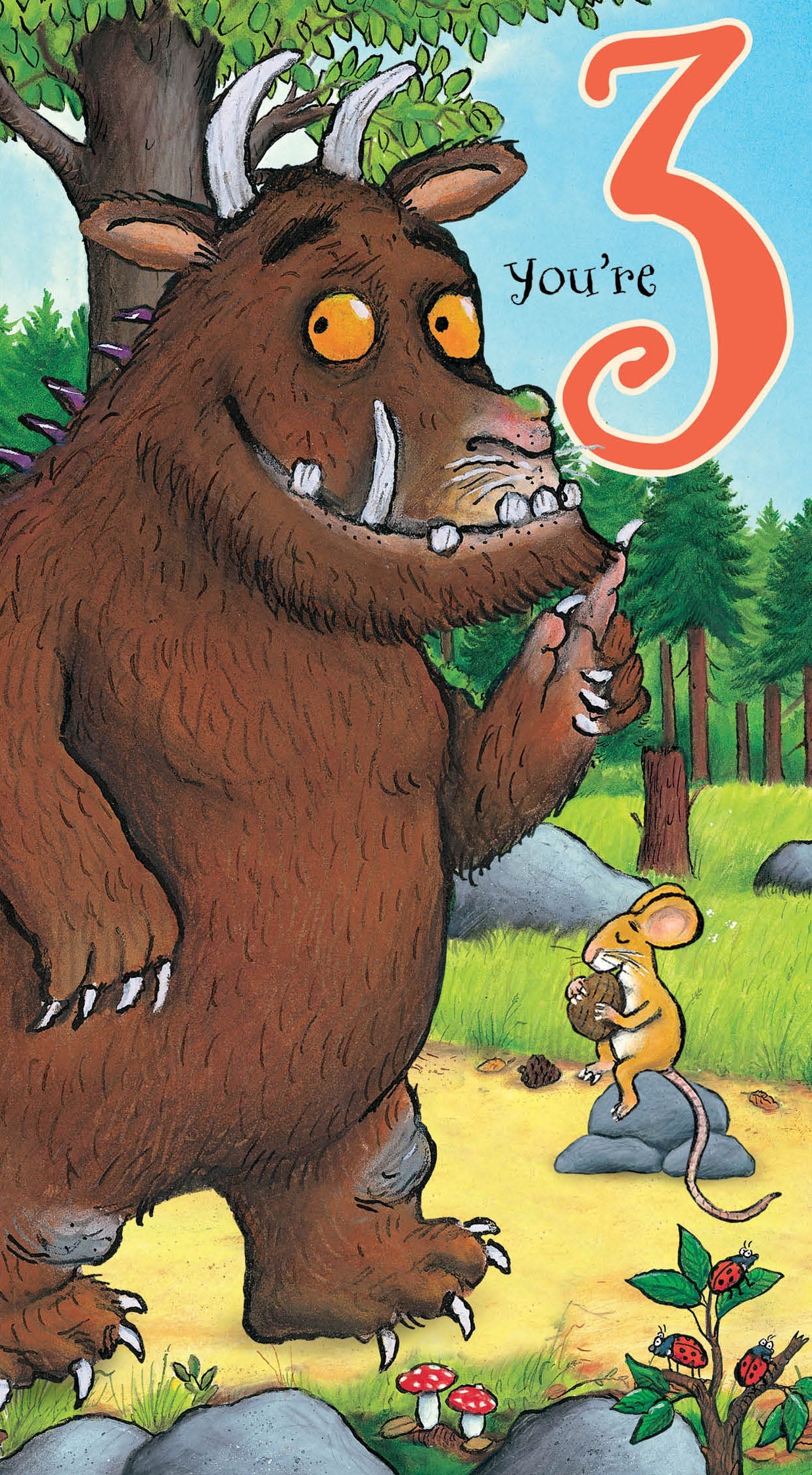 The Gruffalo The Gruffalo Age 3 Birthday Card Official Product