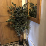 Artificial 130cm Tall Variegated White/green Bushy Ficus Tree