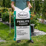 Perlite Horticultural Grade 100l Bag | Set of 1