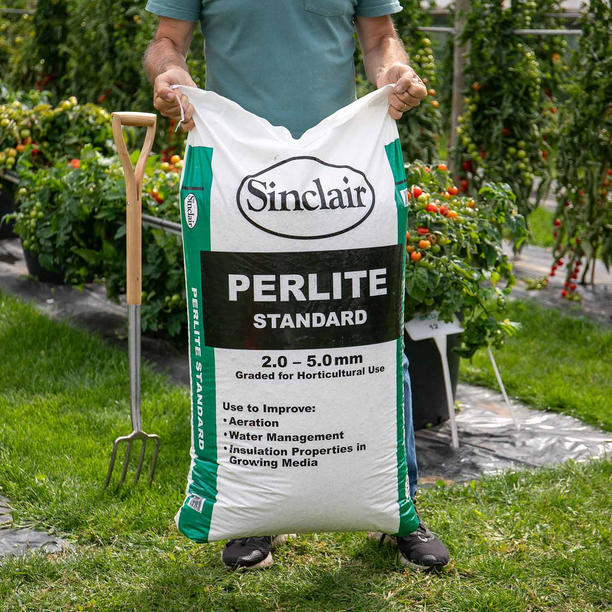 Perlite Horticultural Grade 100l Bag | Set of 1