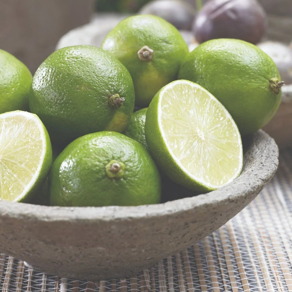 Thompson & Morgan Citrus Tree Collection - Lemon, Orange, Lime (citrus Fruit)