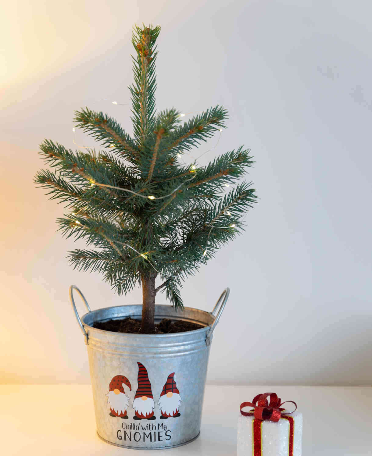 Christmas Tree In A Gnomies Pot With Lights