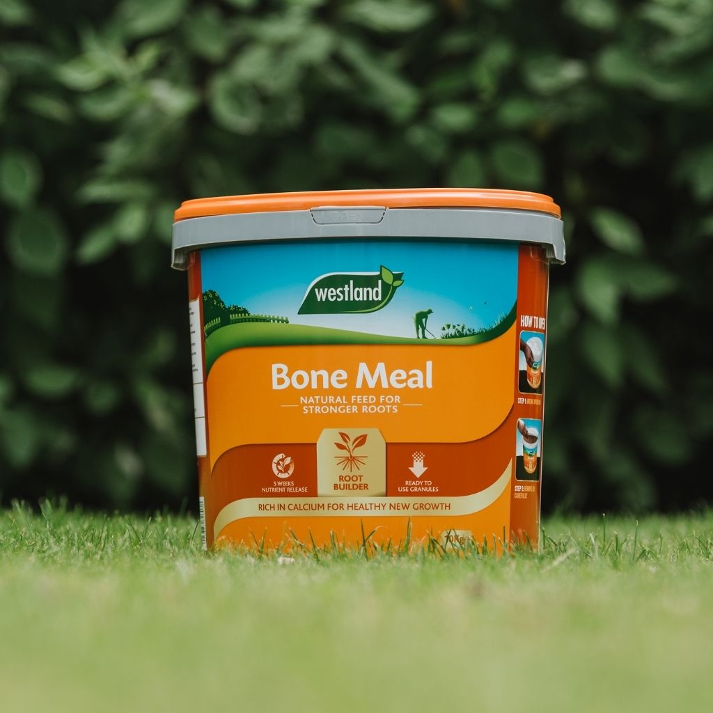 Bone Meal Fertilizer - High Phosphorus Npk 4:20:0 Ready To Use | 4kg