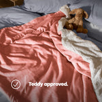 Single Sherpa Fleece Blanket - Blush