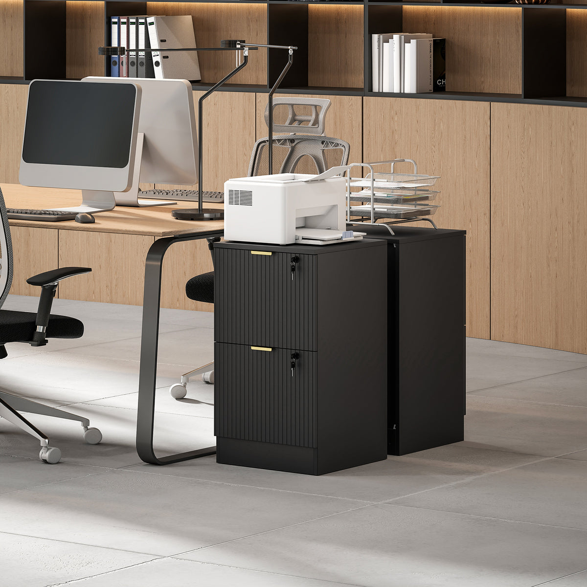 HOMCOM Filing Cabinet, File Cabinet With 2 Lockable Drawers And Hanging Rails