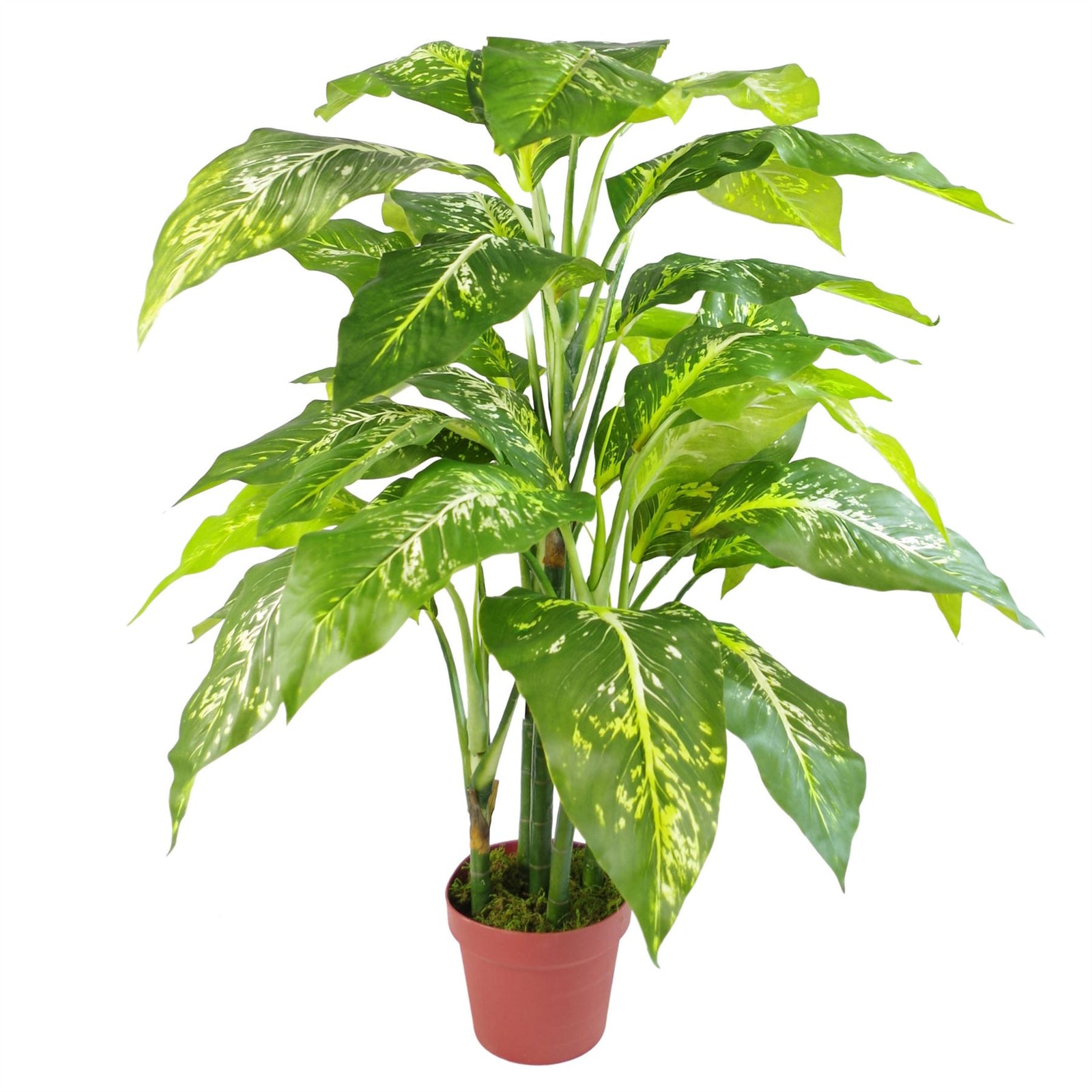 Artificial Large Fox's Aglaonema Tree Plant With Silver Planter 100cm