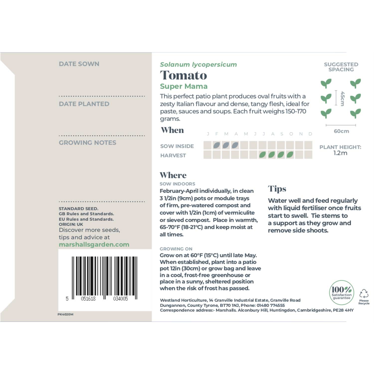 Super Mama Tomato - Compact Patio Variety Seeds | 15 Seeds