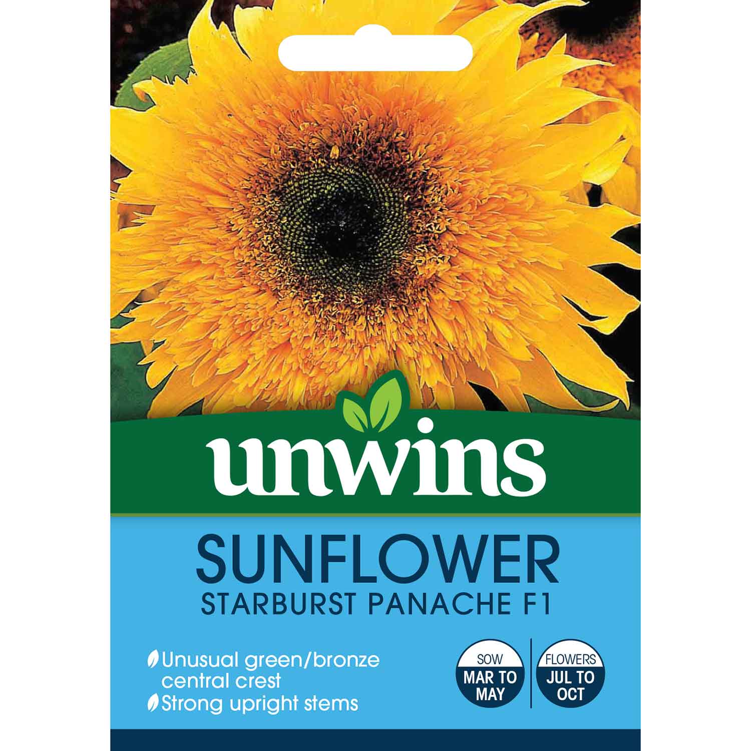 Sunflower 'starburst Panache' - Double Golden, Pollen-free, Seeds | 22 Seeds
