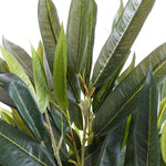 Artificial 100cm Realistic Artificial Tree Longifolia Ficus Natural Trunk