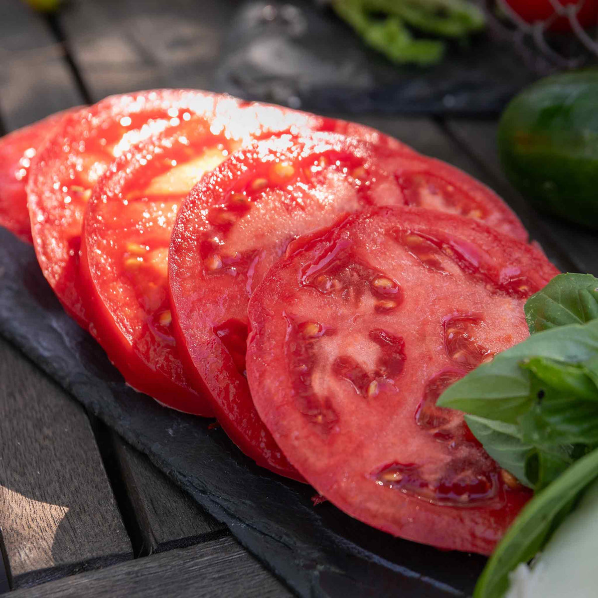 Cordon Tomato 'big Daddy', Beefsteak Up To 425g Jumbo Plugs | Set of 6