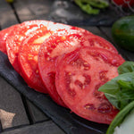 Cordon Tomato 'big Daddy', Beefsteak Up To 425g 9cm Plants | Set of 6