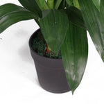 Artificial 100cm Cymbidium Orchid Plant - Extra Large - Dark Pink Flowers
