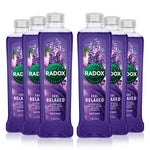 100% Nature Inspired Fragrance Bath Soak, Feel Relaxed, 6 Pack, 500ml | 6 | Purple