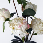 6 X 55cm Cream Peony Artificial Flower Stems - 24 Flowers 18 Buds