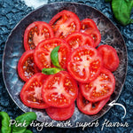 Honeymoon F1 Salad Tomato Seeds | 6 Seeds