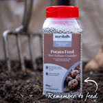 Wilja Seed Potato (First-Early To Maincrop) | 2kg | Yellow