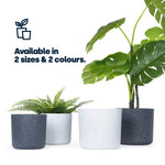 18cm Round Plant Pot Set Of 2 - Matt White