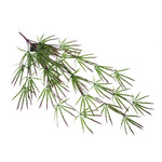 Pack Of 12 X 100cm Artificial Hanging Acer Spider Plant