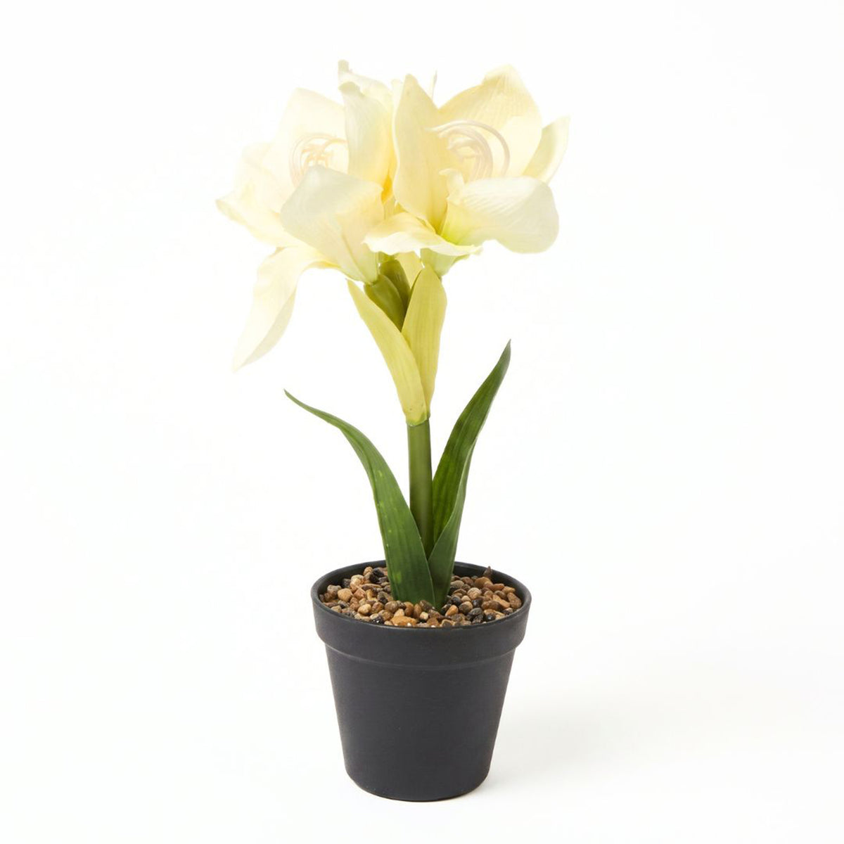Faux Amaryllis In Pot, 36cm | Cream