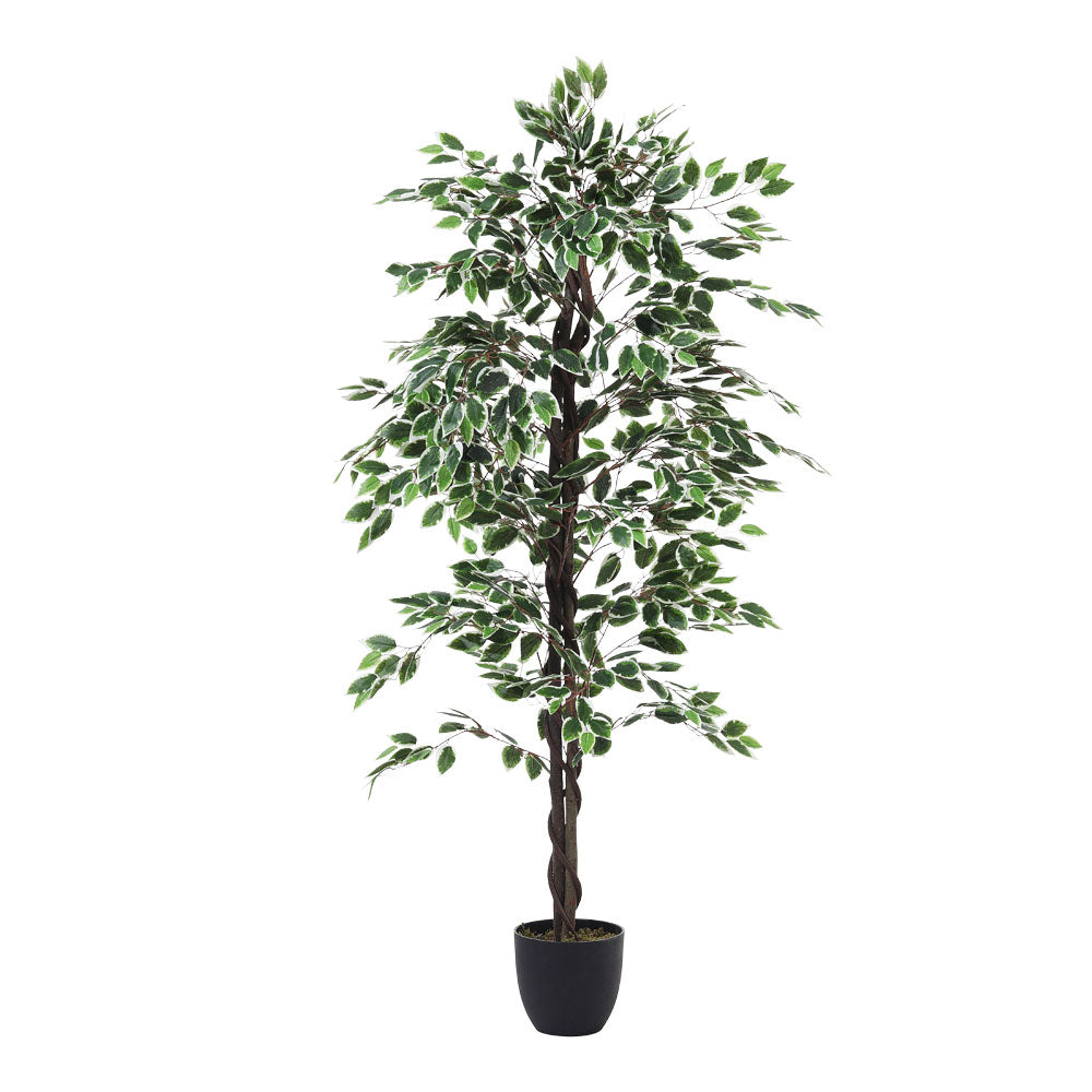 150cm/180cm Artificial Ficus Tree Decorative Plant In Planter | Large