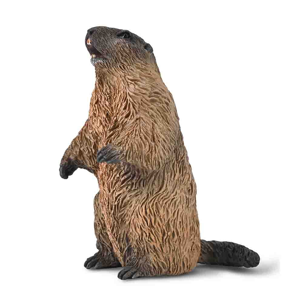 Marmot - Realistic Animal Figure For Kids