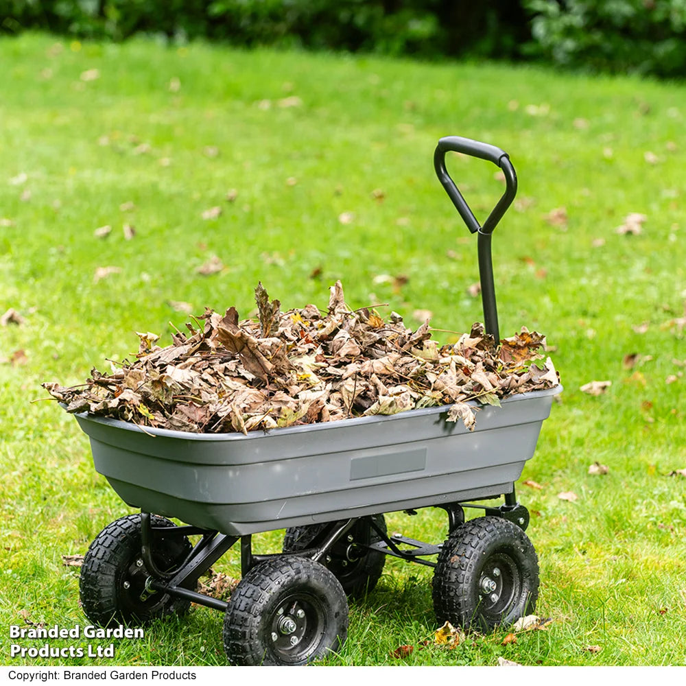 Garden_Gear Dump Truck Utility Trolley